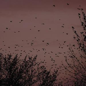 精品少妇无码高清
